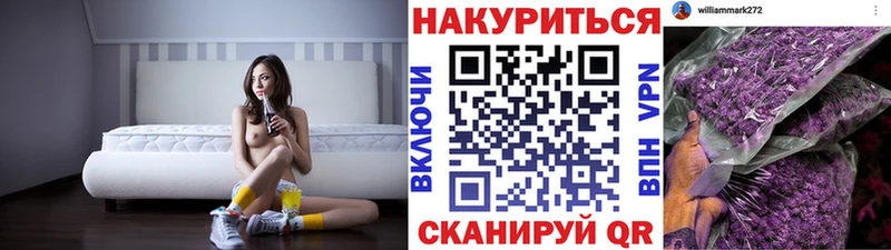 Марихуана индика  mega как зайти  Терек 